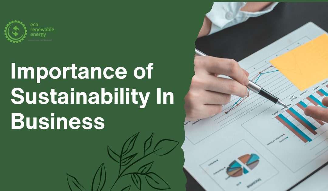 The Importance of Sustainability in Business and How to Achieve It?