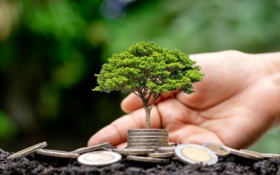 Advantages of Sustainable Events: Promoting Environmental Responsibility